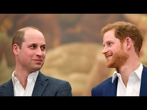 Prince Harry: William and I on 'different paths' but I love my brother