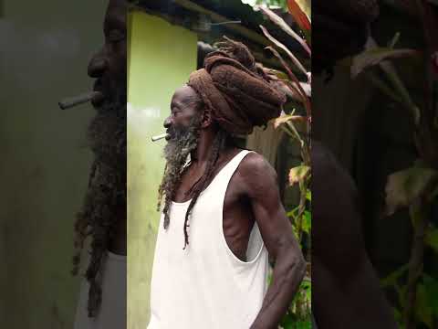 Would you smoke with this Rastafarian man?😳🤯#shorts #jamaica #rasta #rastafari #wisdom #lion #fire