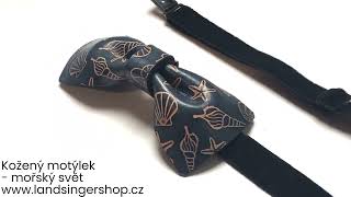 Kožený motýlek - mořský svět