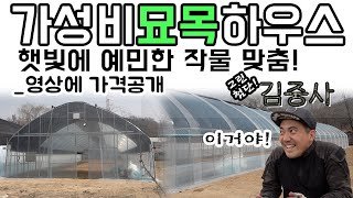 넓은 가성비 수입묘목하우스 시공 가격 공개! 태양을 피하는 방법_김중사부대#비닐하우스 #수입묘목 #그린첨단과…