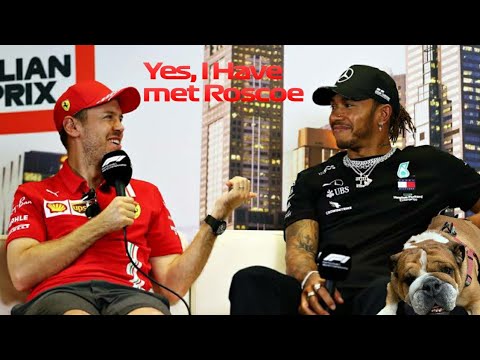Lewis Hamilton and Sebastian Vettel taking about Roscoe and the squeaky ball that Seb gave him