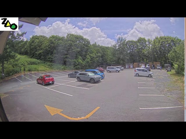 藏王即時影像 cctv 監視器 即時交通資訊