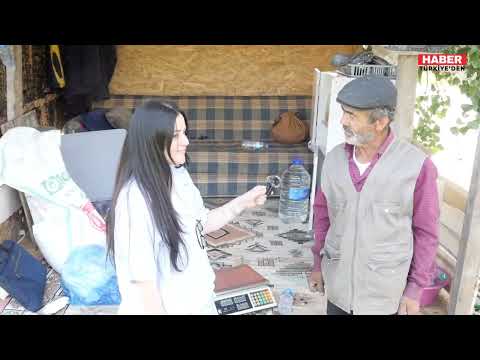 Dev Haller Geride Kaldı, Toprağın Saf Hali Kazandı: İnceğiz Organik Tarım