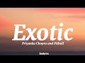 Priyanka Chopra - Exotic ft. Pitbull (Lyrics)