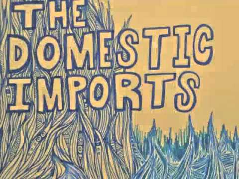 The Domestic Imports - Love My New World