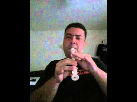 Skyfall by Adele played on recorder (flauta doce)