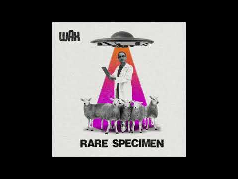 Video thumbnail for Rare Specimen