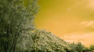 Motorpsycho - The Wait.avi