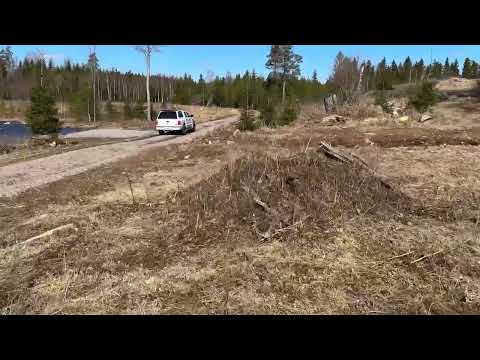 Videoklipp