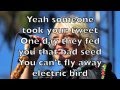 Sia - Electric Bird Karaoke Cover Backing Track + ...
