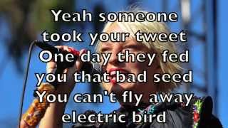 Sia - Electric Bird Karaoke Cover Backing Track + Lyrics Acoustic Instrumental