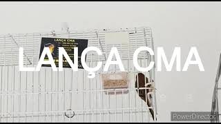 LANÇA CMA