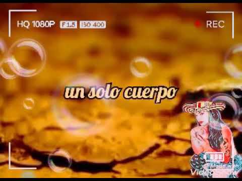Un solo cuerpo - Chiches Vallenatos