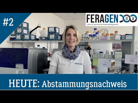 FERAGEN ERKLÄRT Teil 2 Abstammungsnachweise