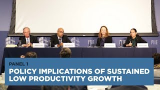 Policy Implications of Sustained Low Productivity Growth: Panel 1