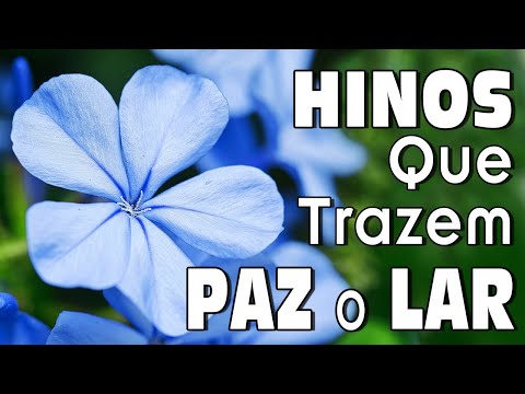 Hinos CCB 2023 - Ótimo Hinos Para Trazem Paz O Lar - A Melodia Do Hino Ccb Acalma A Alma