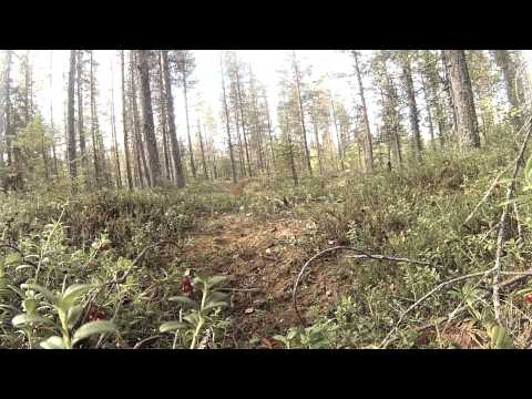 Hunnskall & Bomskott, i Sorseleskogarna - Trailer