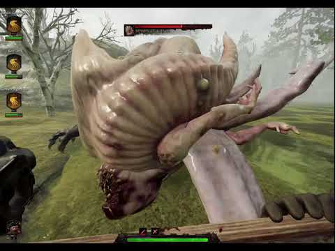 Meleeing a Chaos Spawn.