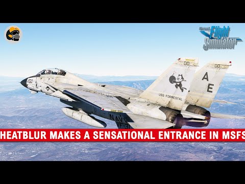 Claws out! MSFS2020 Review F14 Tomcat by Heatblur and IndiaFoxtEcho