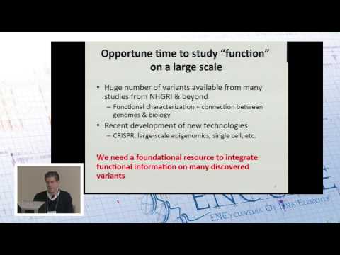 Recommendations related to genome function from NHGRI's Planning Workshop on ... - Mark Gerstein