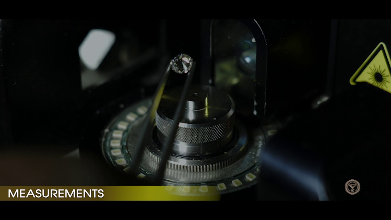 THE IGI WAY - ENGLISH