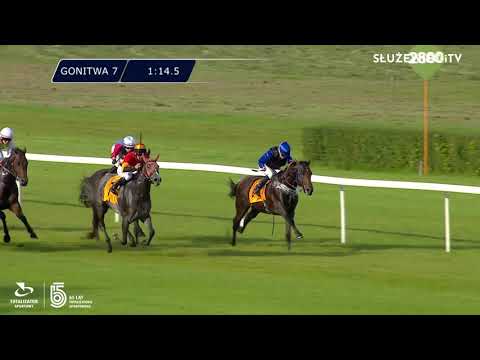 28.08.2021 (D30; G7; Tor: 3,5; 18°C) Nagroda Przedświta - (kat.B)