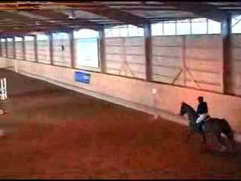 Ami and Fratello, Tenhult 17 mars 2007, 110 cm