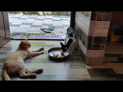 "കൈവിട്ടുപോയി"  //JUST A MINUTE//