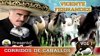 Corridos de Caballos Mix (Vicente Fernandez)_Dj Mc Card! Colombia