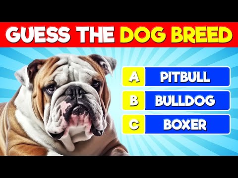 Guess the Dog Breed Quiz