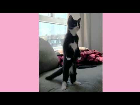 When will my life begin