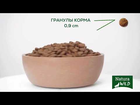 Миниатюра изображения товара Сухой корм для кошек Natura Wild Cat Niagara Falls с фазаном / 585161 (2кг)