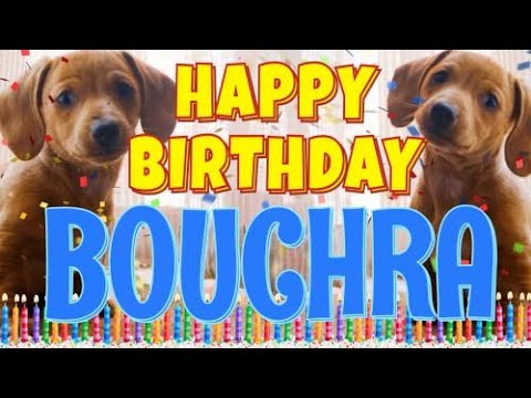 Happy Birthday Bouchra! ( Funny Talking Dogs ) What Is Free On My Birthday