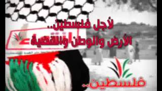 لأجل فلسطين.. الأرض والوطن والقضية ..أعلن انتماءك