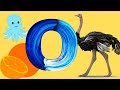 Words Start With O For Toddlers O For Orange Octopus Ostrich