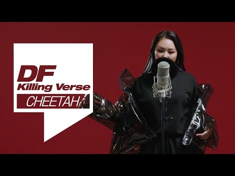 치타 (CHEETAH)의 킬링벌스를 라이브로! | My Number, Coma 07’, 서울촌놈들, Crazy Diamond, Catharsis, Kick It 등