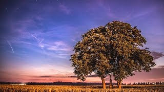 Bake Until Golden - Roothome (Chillstep Edit) | Time-Lapse Video