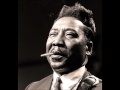 Muddy Waters Nine Below Zero