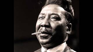 Muddy Waters Nine Below Zero