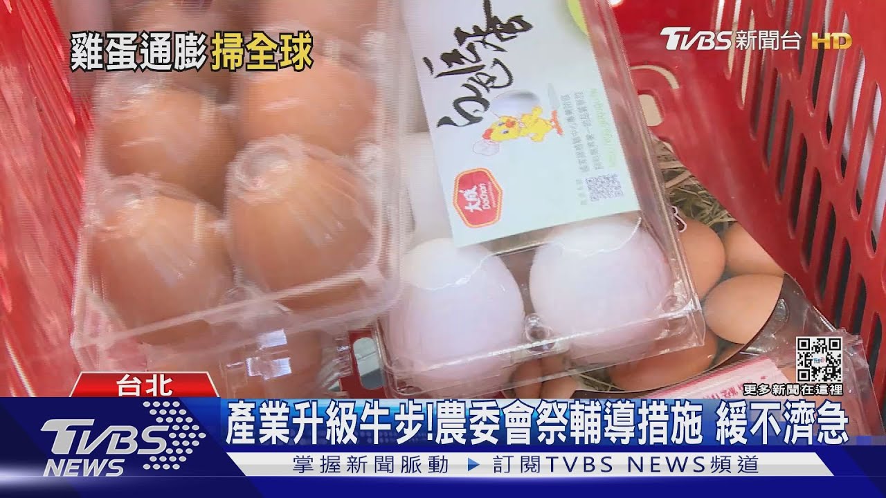 高蛋價新常態?陳吉仲估缺口50到80萬顆 專家吐槽:實際高達「這數目」