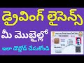 Driving Licence Download Online In Telugu Download Driving Licence Ap Ts