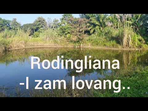Rodingliana. -I zam lo vang.