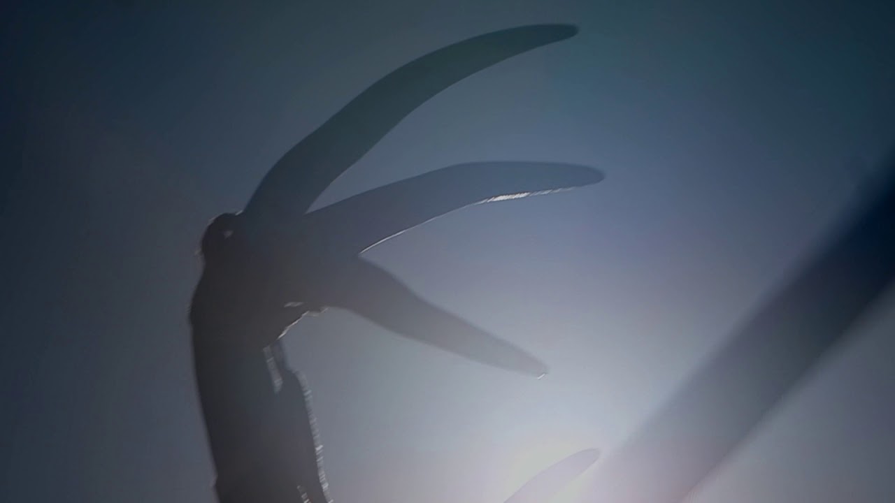 The Ballad of Shirley Collins US Theatrical Trailer