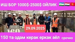 ⚡Иш бор ОЙЛИК 1000$_2500$ ГАЧА🇺🇿🇭🇺🇰🇬❗#иш_бор #мигрантлар #работа