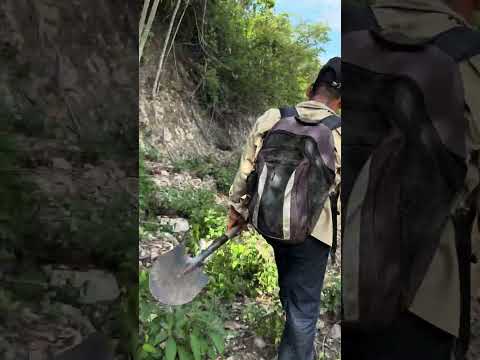 Afloramiento Formación Norean Contacto Batolito Norosí