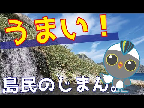 #24　神津島　多幸湧水