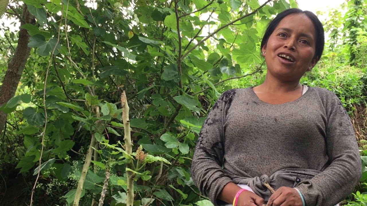 Isabel Criollo: su experiencia familiar y de vida con la Agroecología.