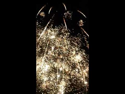 Targul de vara Alesd 29 - 08 - 2016