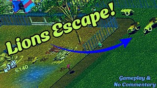 Casual Zoo Tycoon Gameplay Gone Wild: Lions Escape! - Gameplay and No Commentary