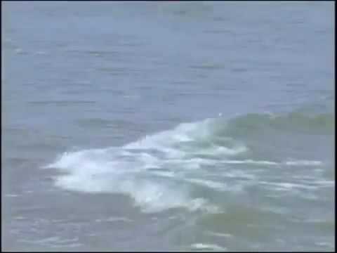 Trăm năm cô đơn - Trương Anh Tuấn